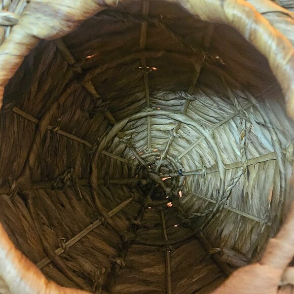 Large pineapple - Picture 4 of 4